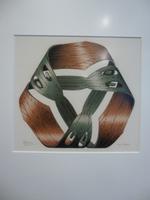 Den Haag, Eschermuseum