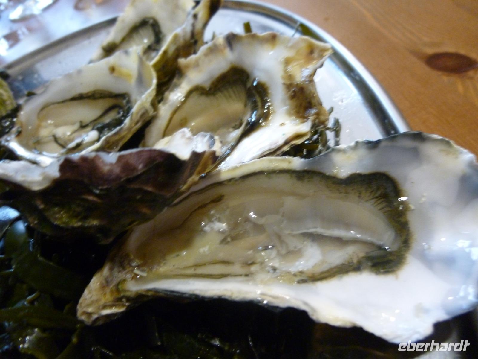 Oostende, Austernzucht