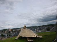 Namur, Zitadelle, Schildkrötenreiter