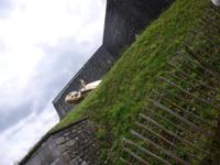 Namur, Zitadelle, Schildkrötenreiter