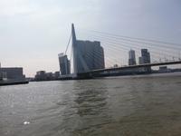 Rotterdam, Erasmusbrug