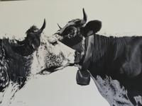 Durbuy,  „Parc des Topiaires“