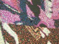 Amsterdam Stadtmuseum deutscher Teppichteil