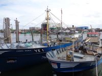 Hafen, Yerseke, Niederlande