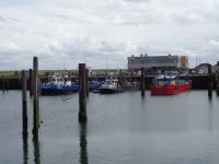 Muschelbörse, Yerseke, Niederlande