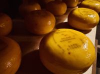 Tag 1 - Traditioneller Bauernkäse 