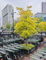 Tag 3 - Parkplatz für Fahrräder in Rotterdam