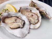 Tag 5 - Austernverkostung