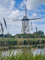Tag 5 - Schellemolen, Damme