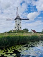 Tag 5 - Schellemolen, Damme