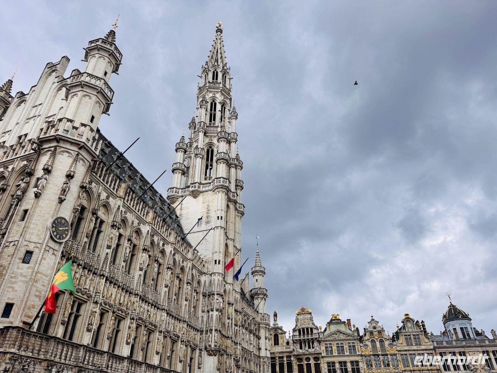 Tag 7 - Rathaus, Brüssel 