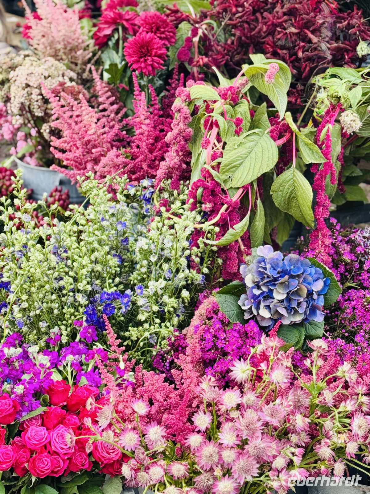 Tag 2 - Blumenpracht in Amsterdam 