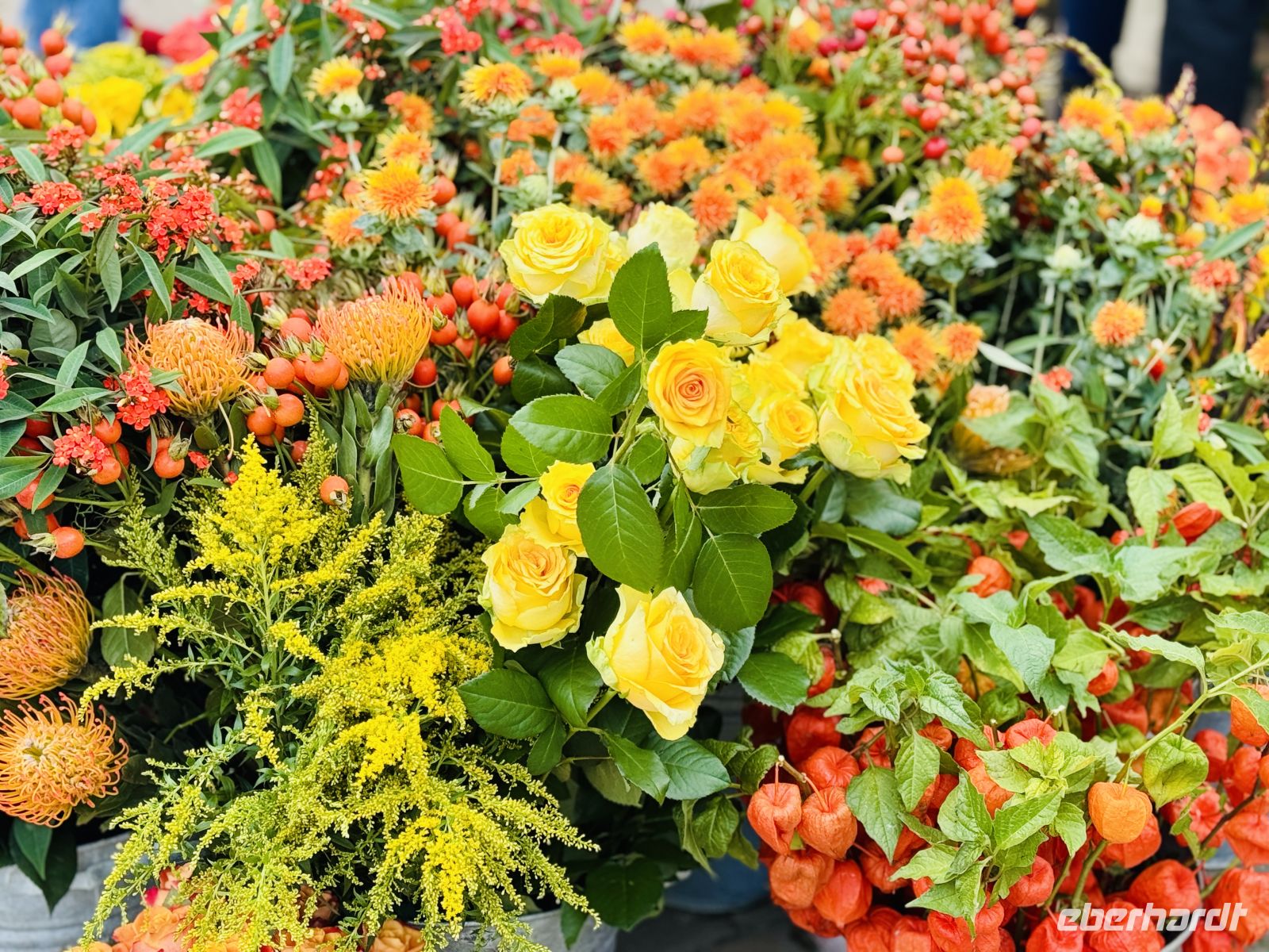 Tag 2 - Blumenpracht in Amsterdam 