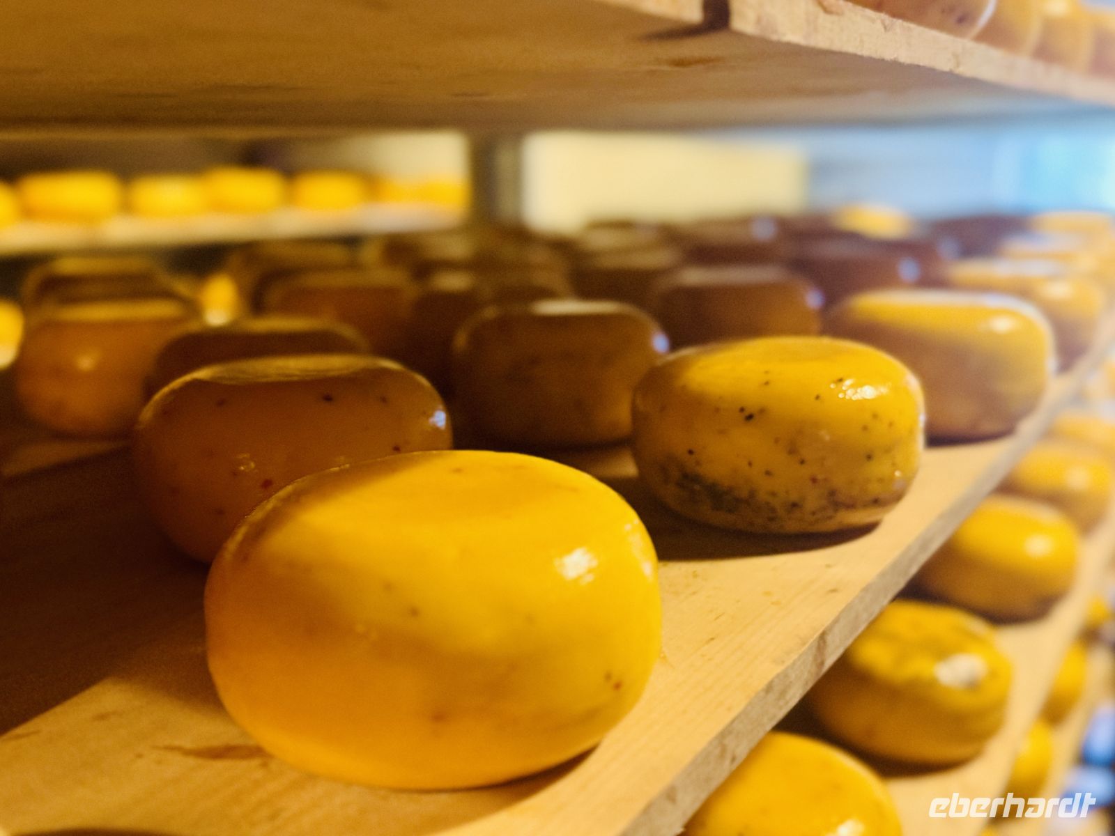 Tag 2 - Käsebauernhof 