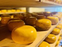 Tag 2 - Käsebauernhof 