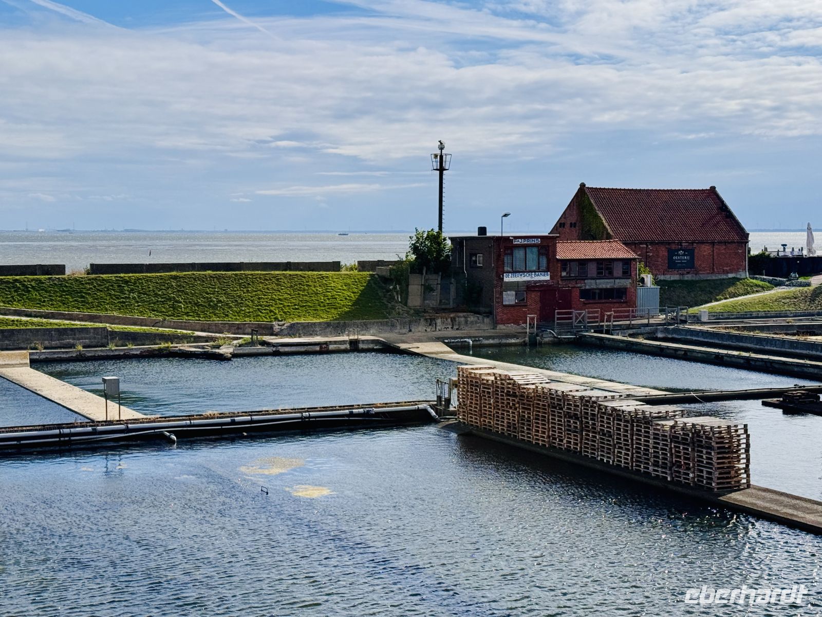 Tag 5 - Austernzuchtbecken in Yerseke