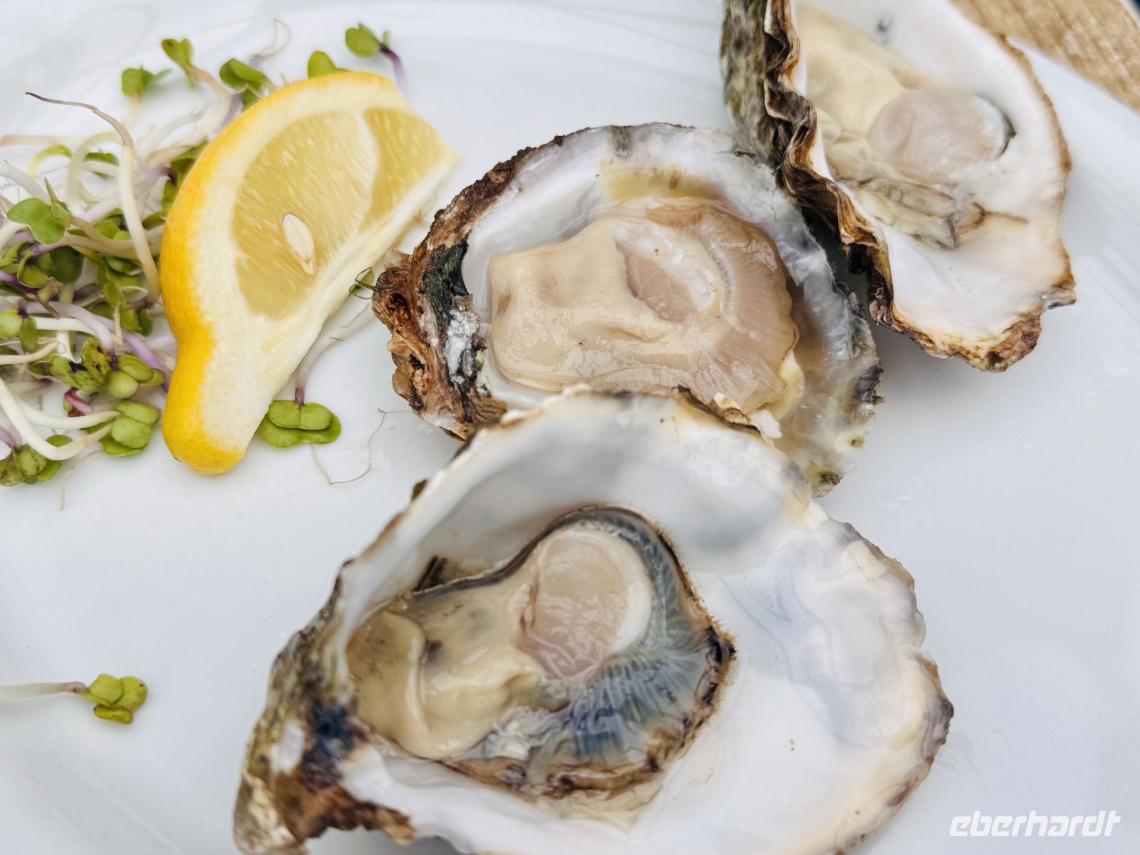 Tag 5 - Austernverkostung