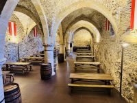 Tag 10 - Burg Vianden, Luxemburg