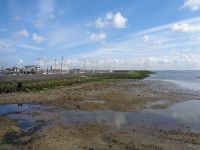 Ebbe in Yerseke, Niederlande &ndash; &copy; Saskia Pinnow (Eberhardt TRAVEL)
