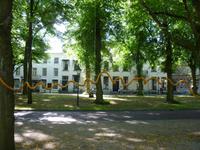 Den Haag, gelbe Linie