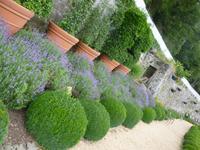 Durbuy, Topiaires