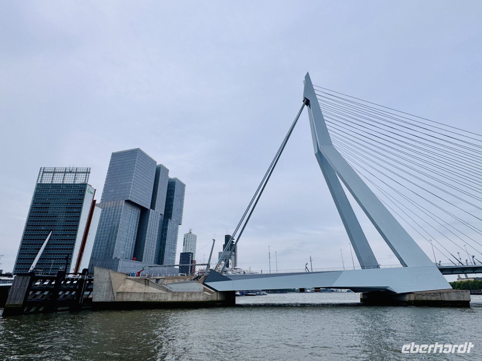 Tag 3 - Erasmusbrücke, Rotterdam 