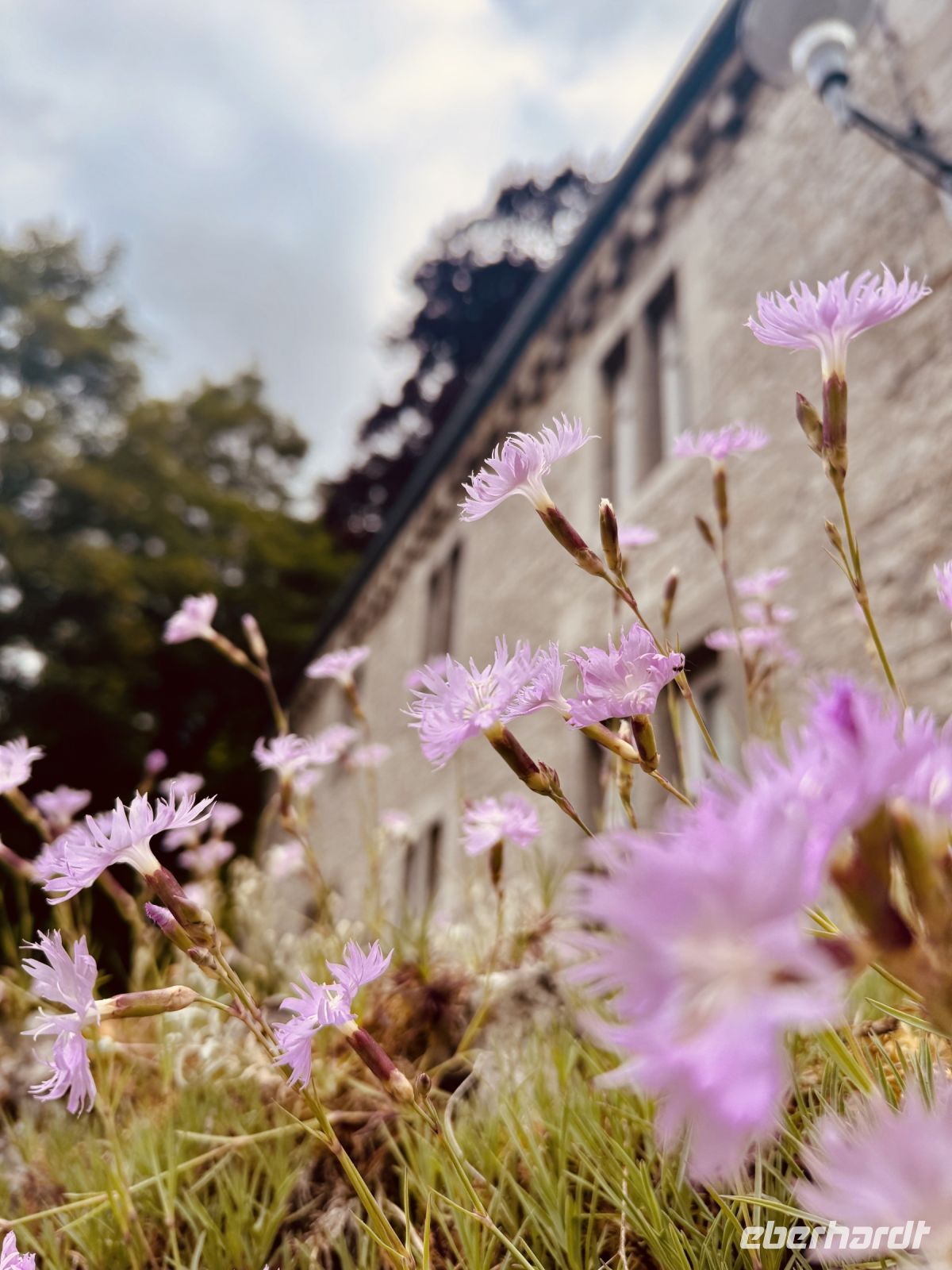 Tag 9 - Durbuy