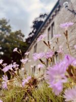 Tag 9 - Durbuy