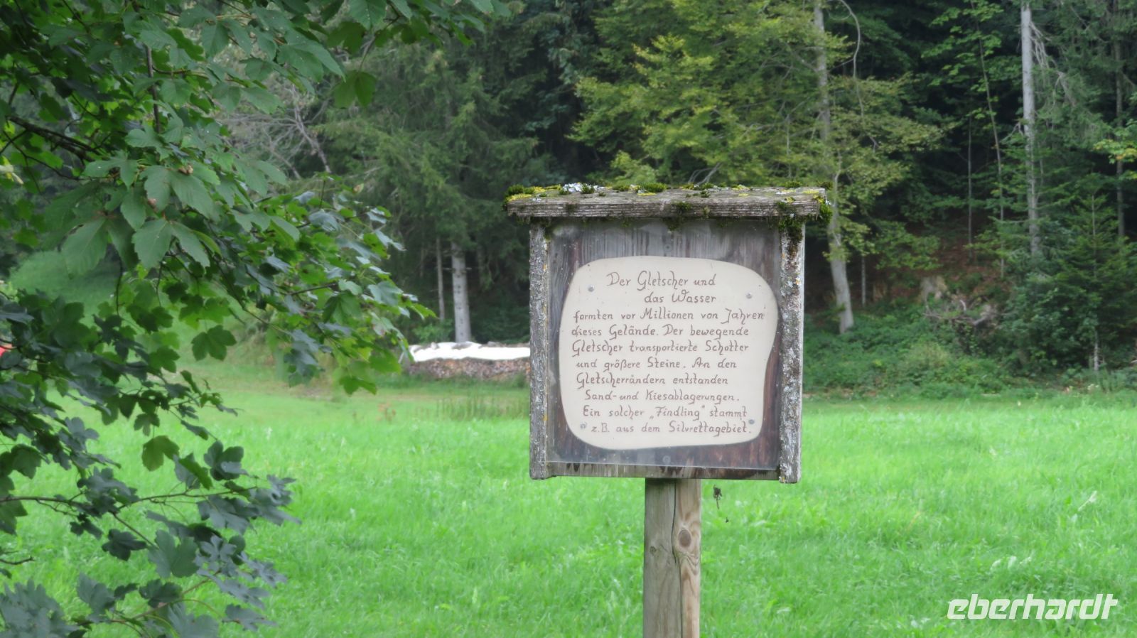 Wanderung zum Pfänder