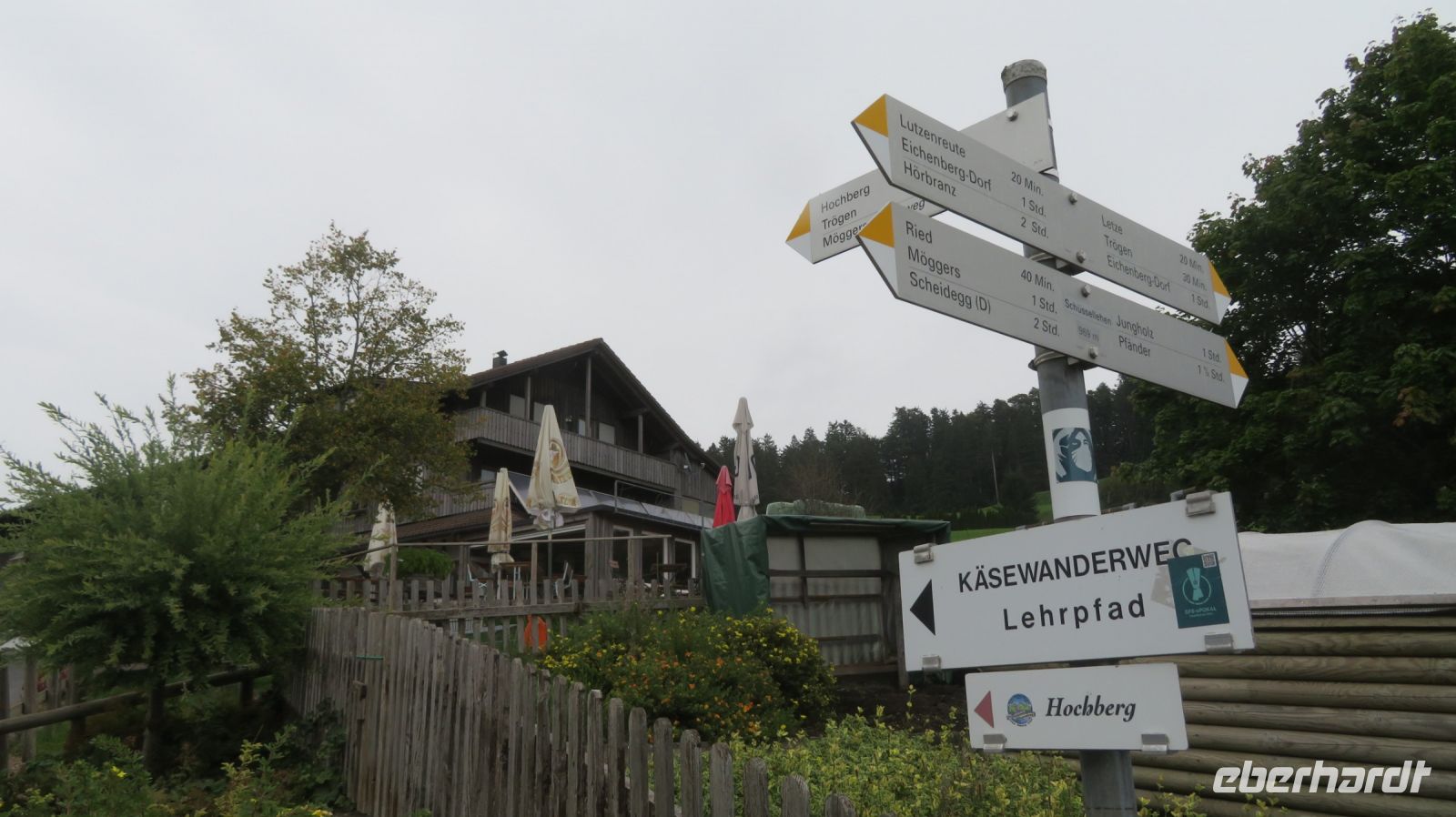 Auf dem Käsewanderweg zum Pfänder