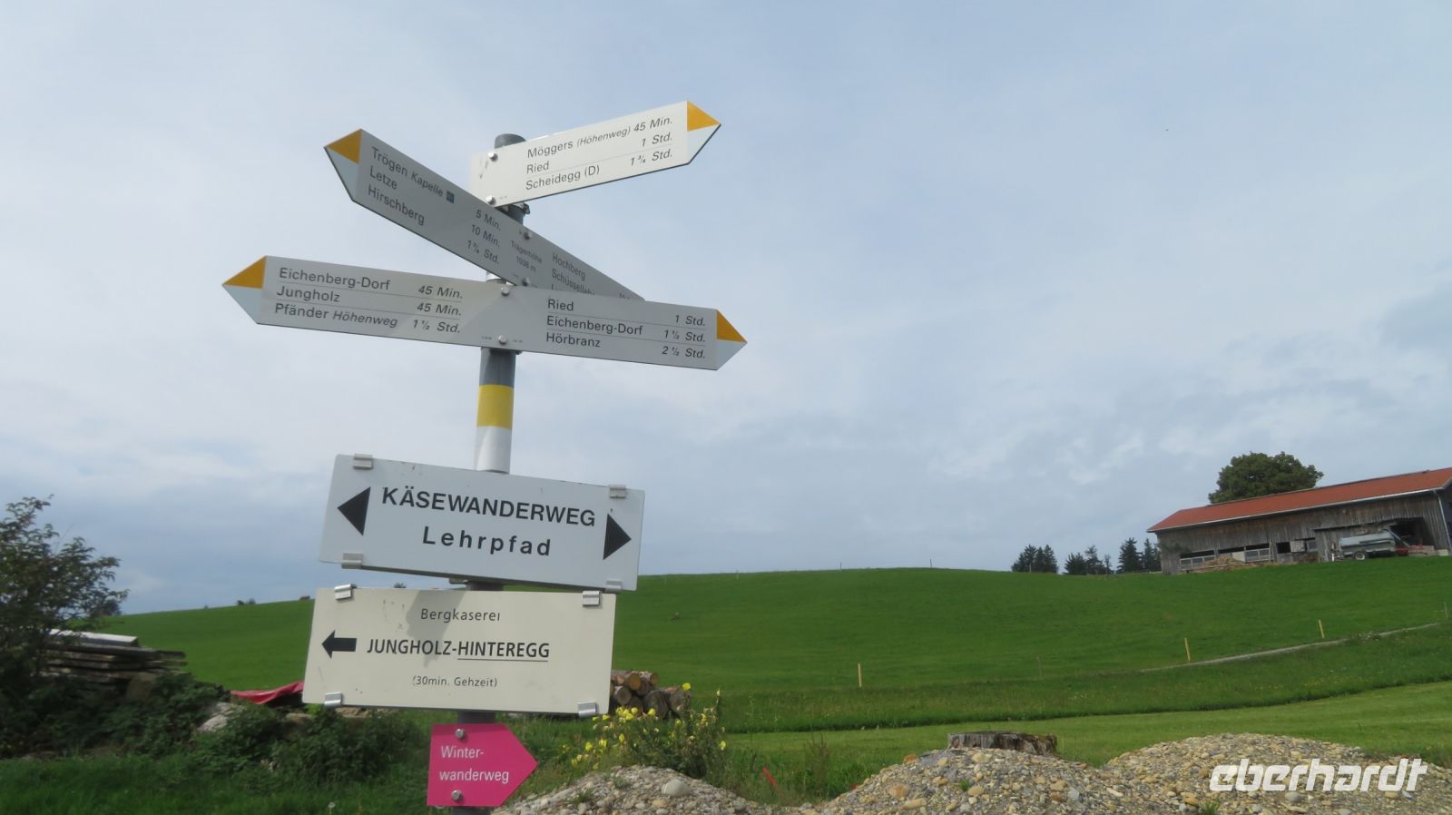 Wanderung zum Pfänder