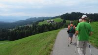 Wanderung zum Pfänder