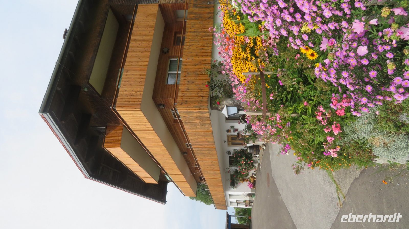 Wanderung zum Pfänder