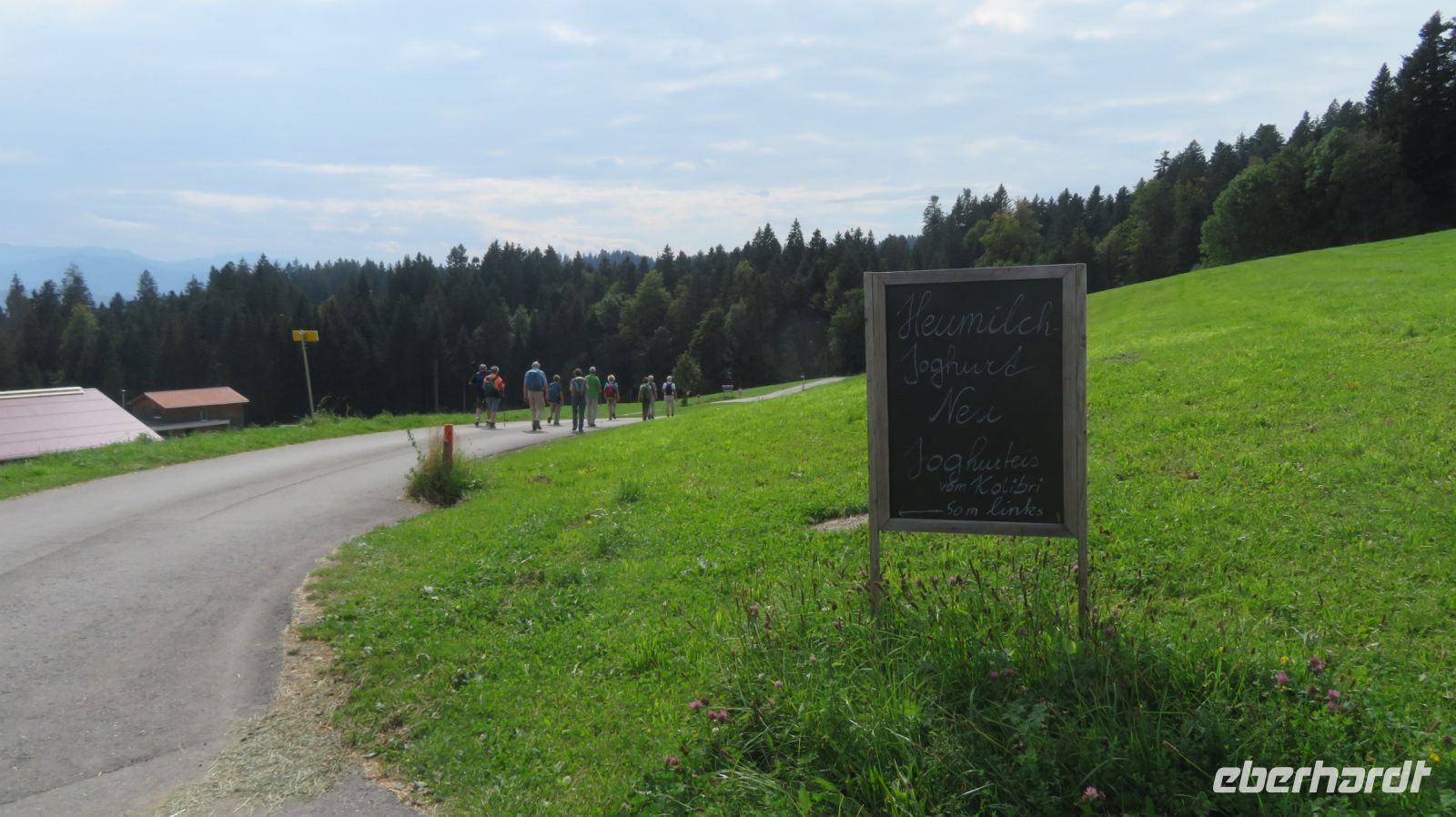 Wanderung zum Pfänder
