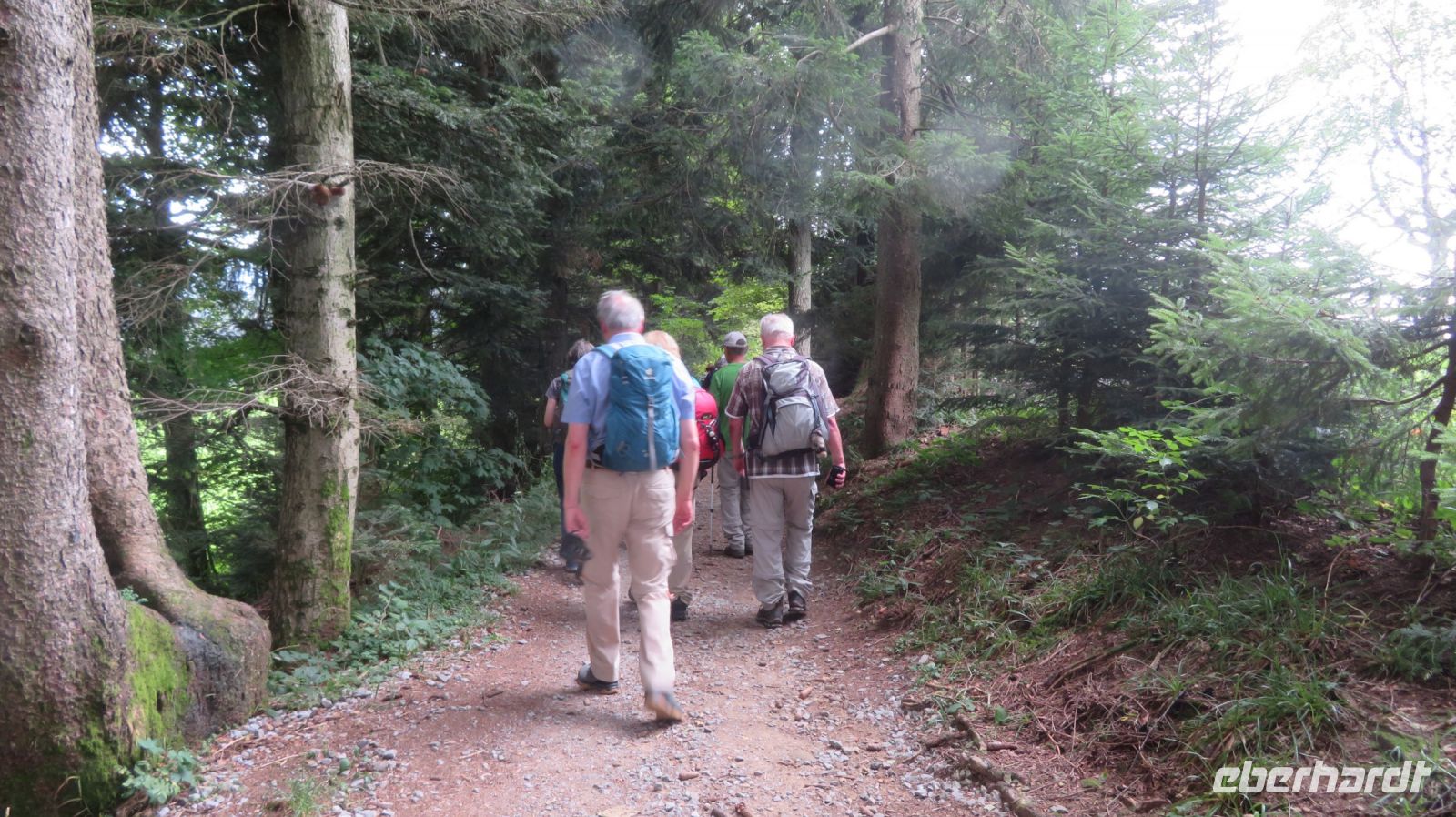 Wanderung zum Pfänder