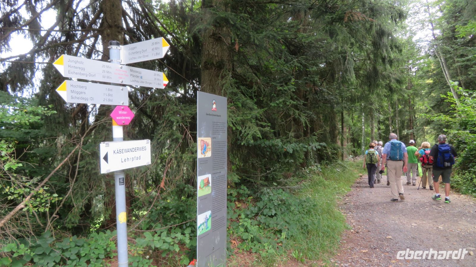 Wanderung zum Pfänder
