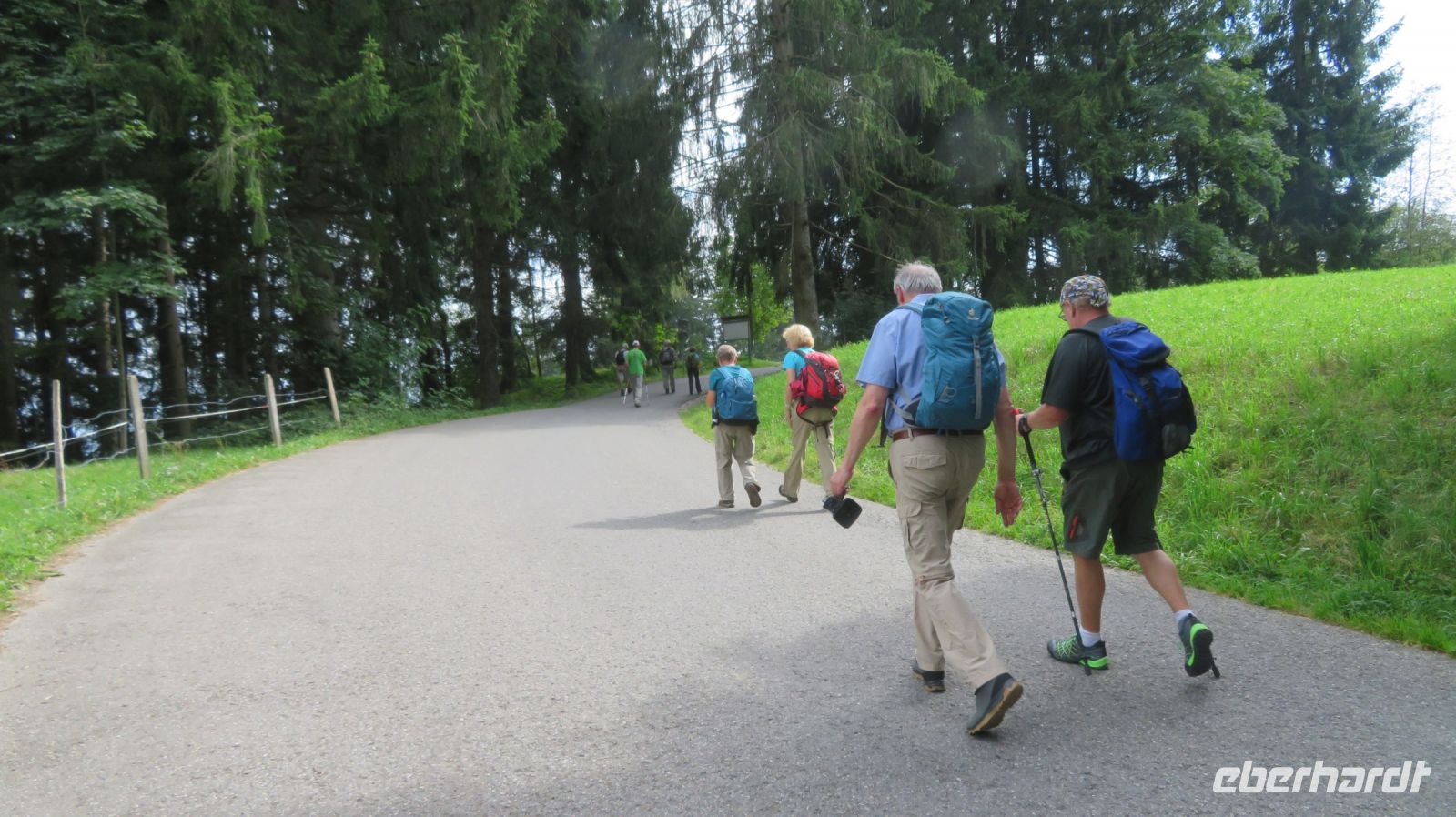 Wanderung zum Pfänder