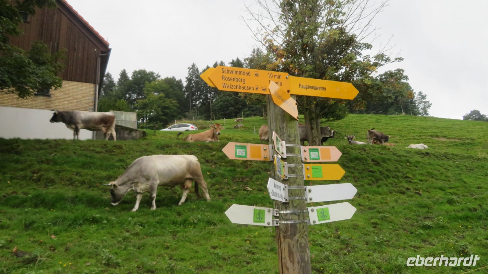 Wanderung von Walzenhausen nach Heiden