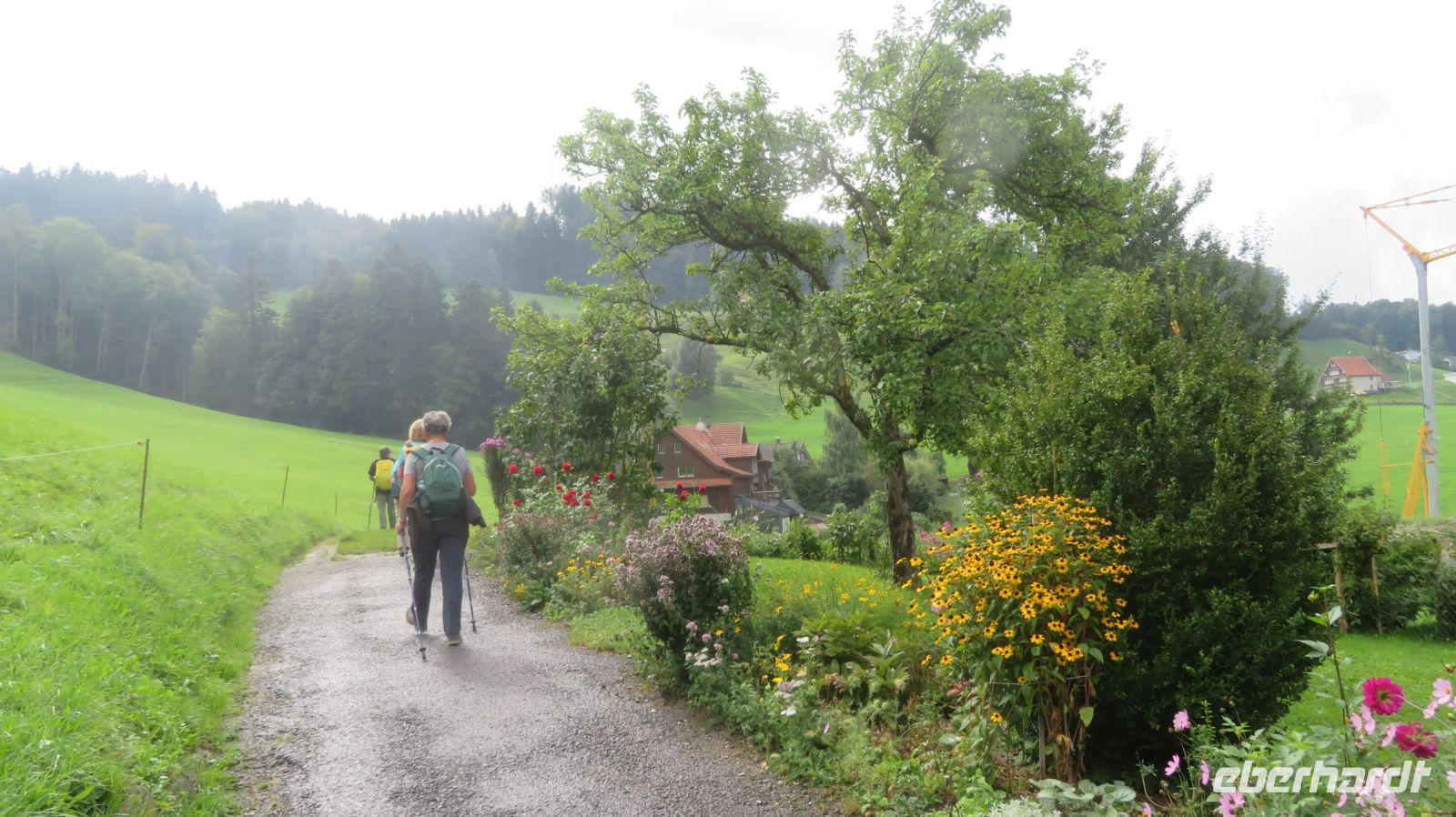 Wanderung von Walzenhausen nach Heiden
