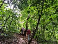 Wanderung Senda del Loro in Amboro National Park in Refugio de los Volcanes in Bolivien (3)