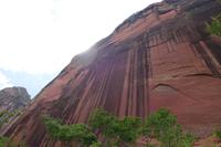 Wanderung Senda del Loro in Amboro National Park in Refugio de los Volcanes in Bolivien (7)