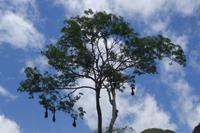 Wanderung Senda del Loro in Amboro National Park in Refugio de los Volcanes in Bolivien (1)