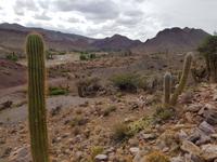 Auf dem Weg nach Uyuni in Bolivien (7)