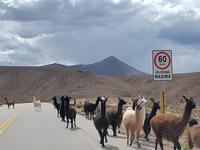 Auf dem Weg nach Uyuni in Bolivien (8)