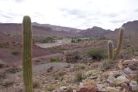Auf dem Weg von Potosi nach Uyuni (4)