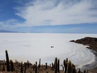Insel Incahuasi auf dem Salzsee in Uyuni (4)