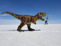 Auf dem Salzsee Uyuni in Bolivien (1)