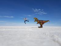 Auf dem Salzsee Uyuni in Bolivien (8)