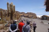 Insel Incahuasi auf dem Salzsee in Uyuni