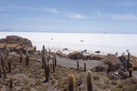 Insel Incahuasi auf dem Salzsee in Uyuni (8)